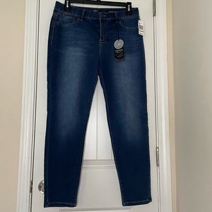 NWT Curve Appeal Denim Minimalist Jeggings in Color: Riverside Size 12